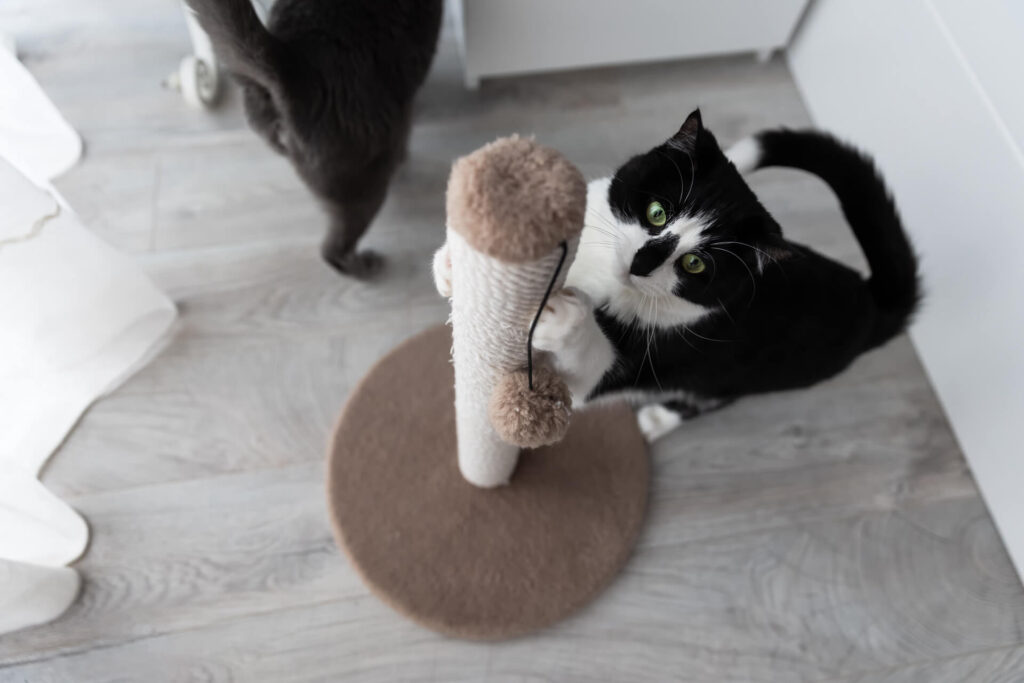 aranżacja mieszkania w bloku